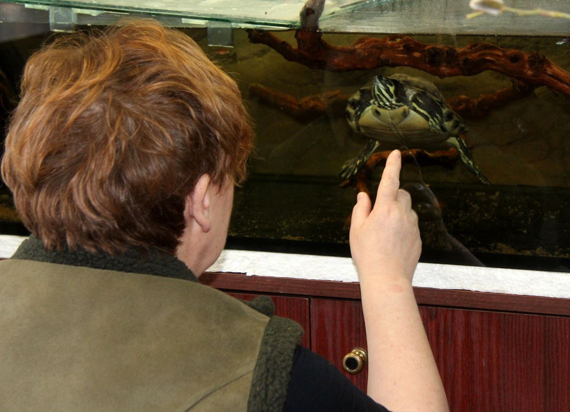 List od żółwia Bibliusia List od żółwia Bibliusia