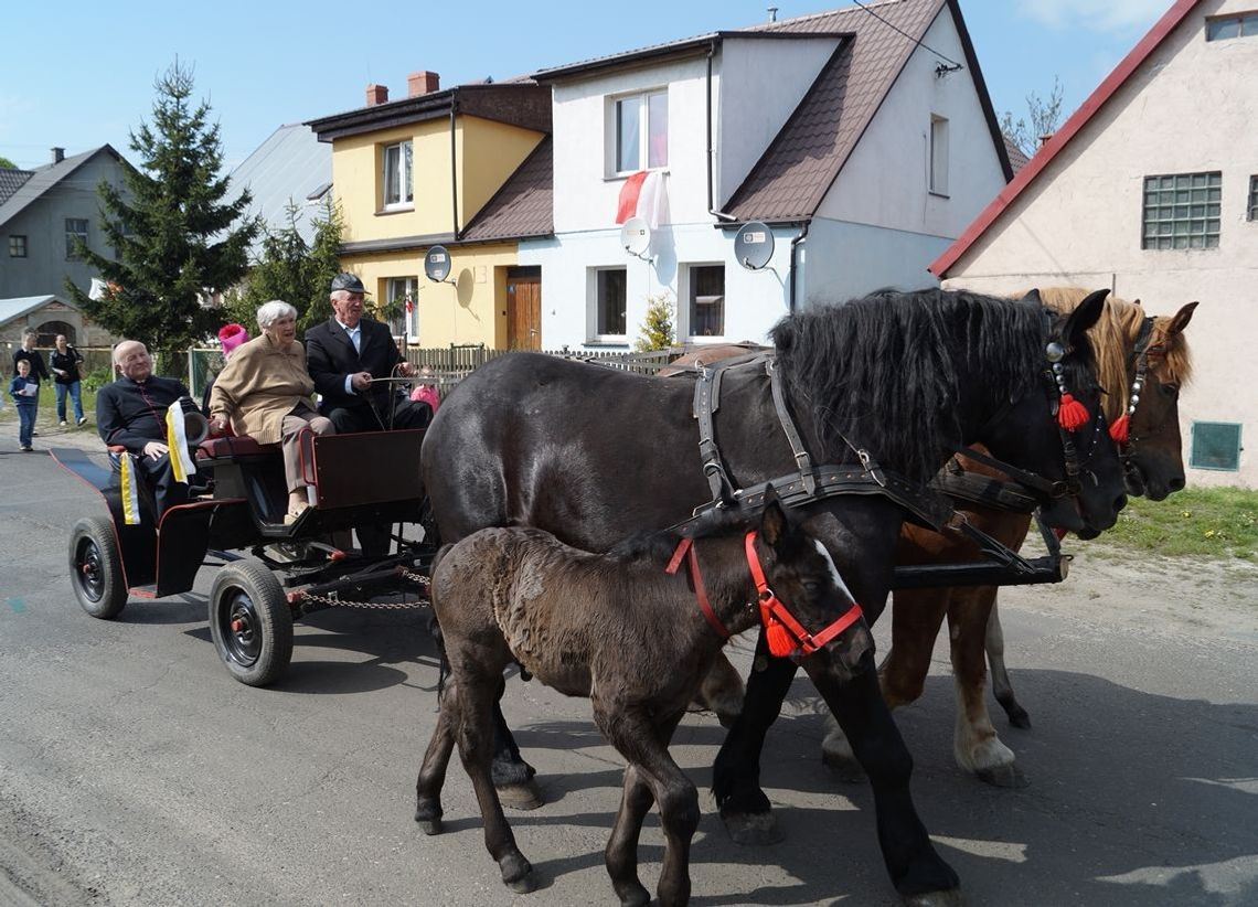 Majówka w Żabnicy Majówka w Żabnicy