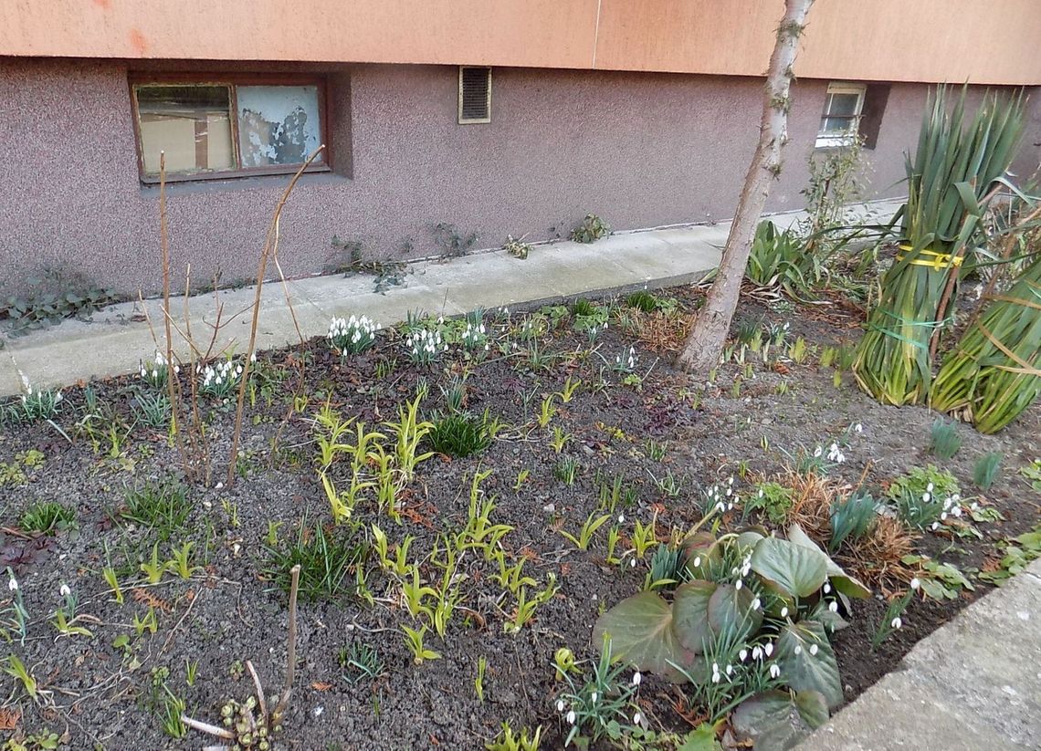 Małe, a jak cieszy! Małe, a jak cieszy!