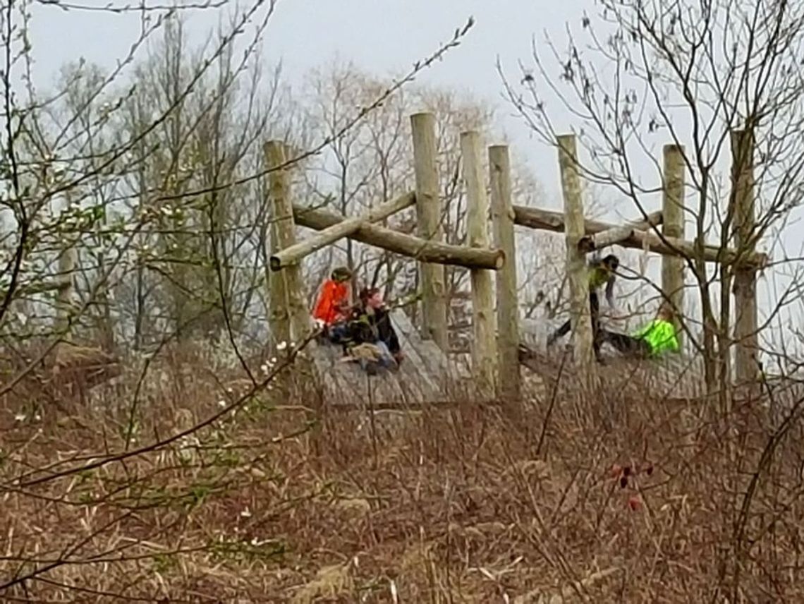 Małpi gaj za mostem Małpi gaj za mostem