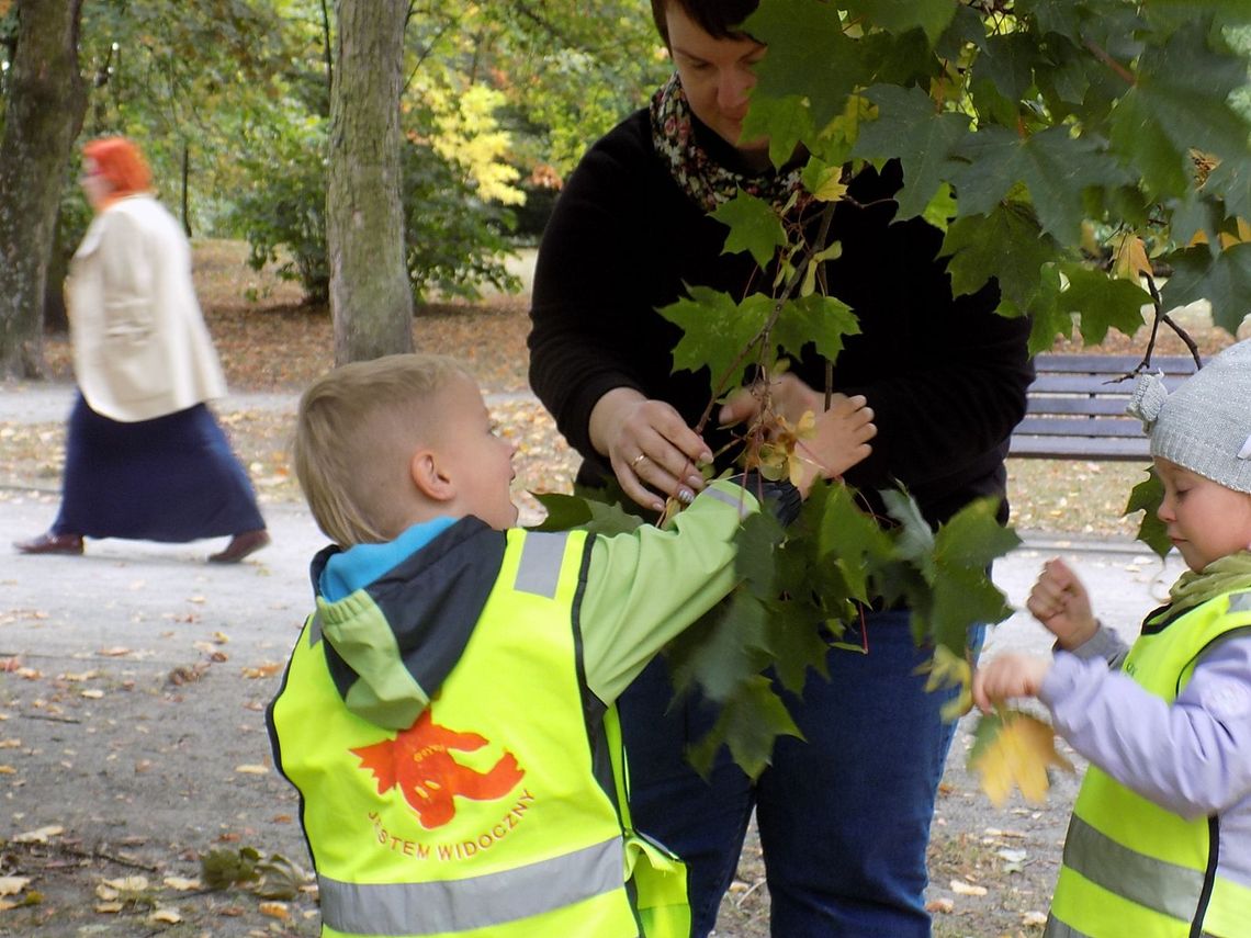 Mam obiecaną mądrą sówkę Mam obiecaną mądrą sówkę