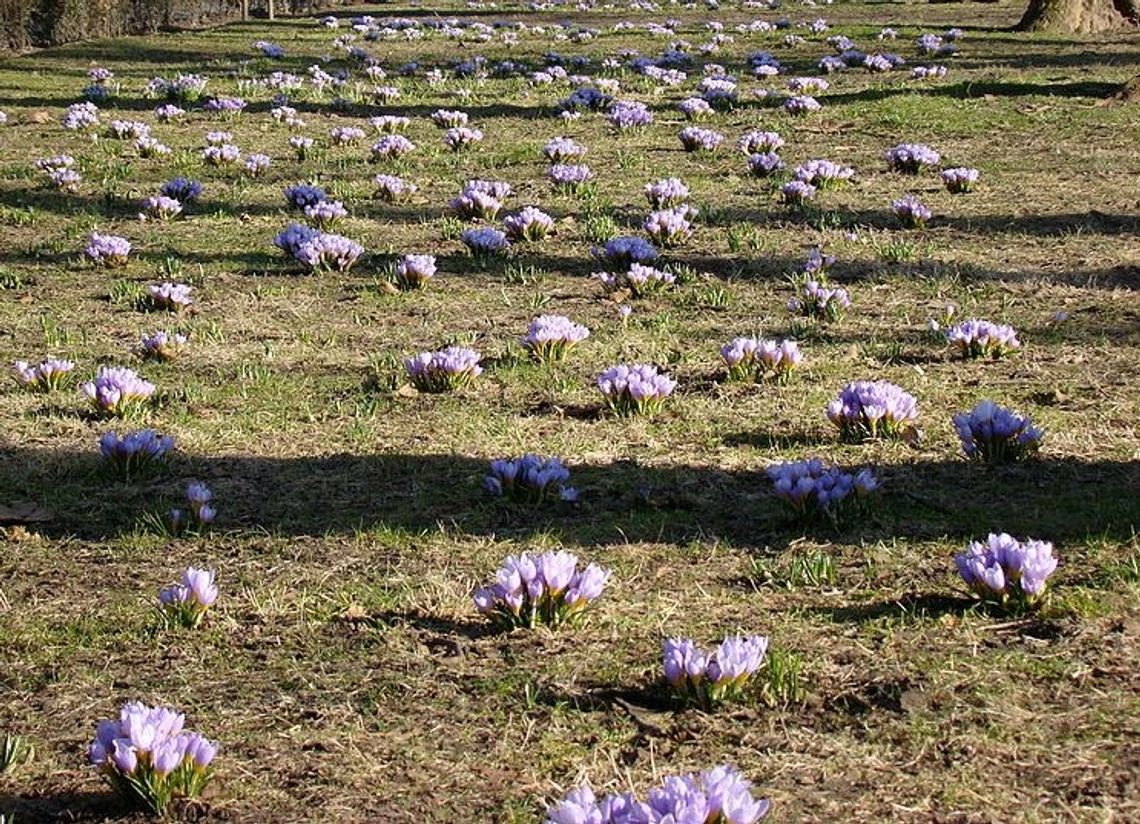Mamy pomysł na dodatkowy dochód dla gminy