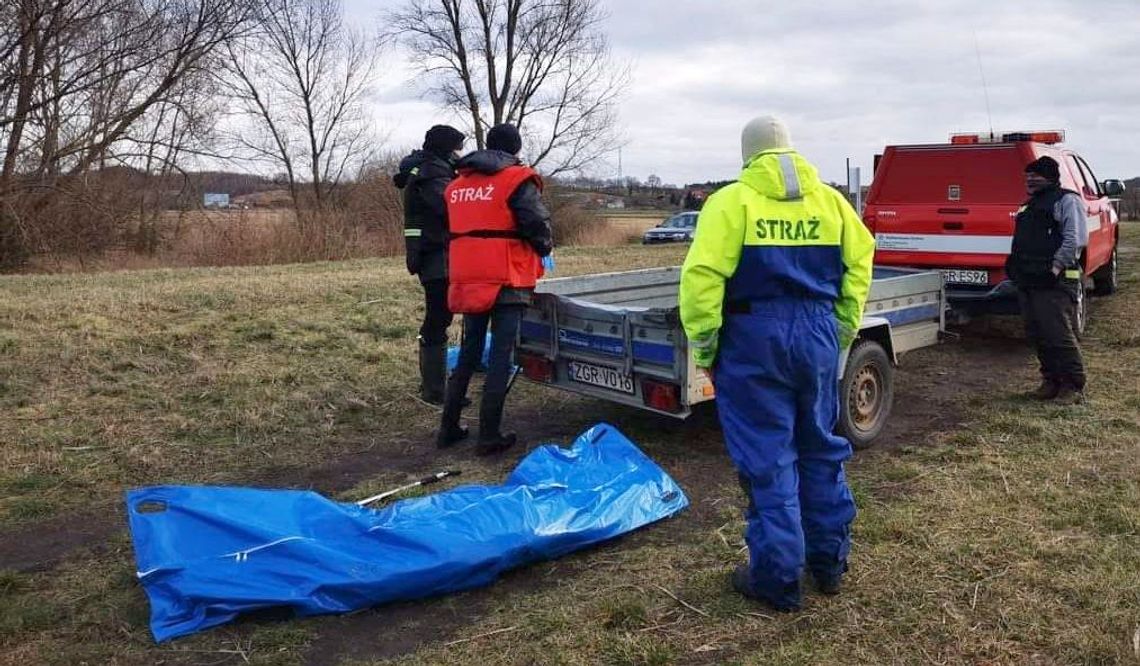 Martwe dziki z podejrzeniem ASF znaleziono na Międzyodrzu Martwe dziki z podejrzeniem ASF znaleziono na Międzyodrzu