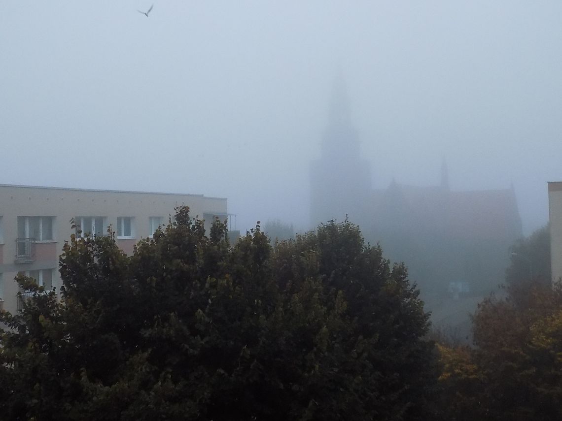 Miasto spowite poranną mgłą Miasto spowite poranną mgłą