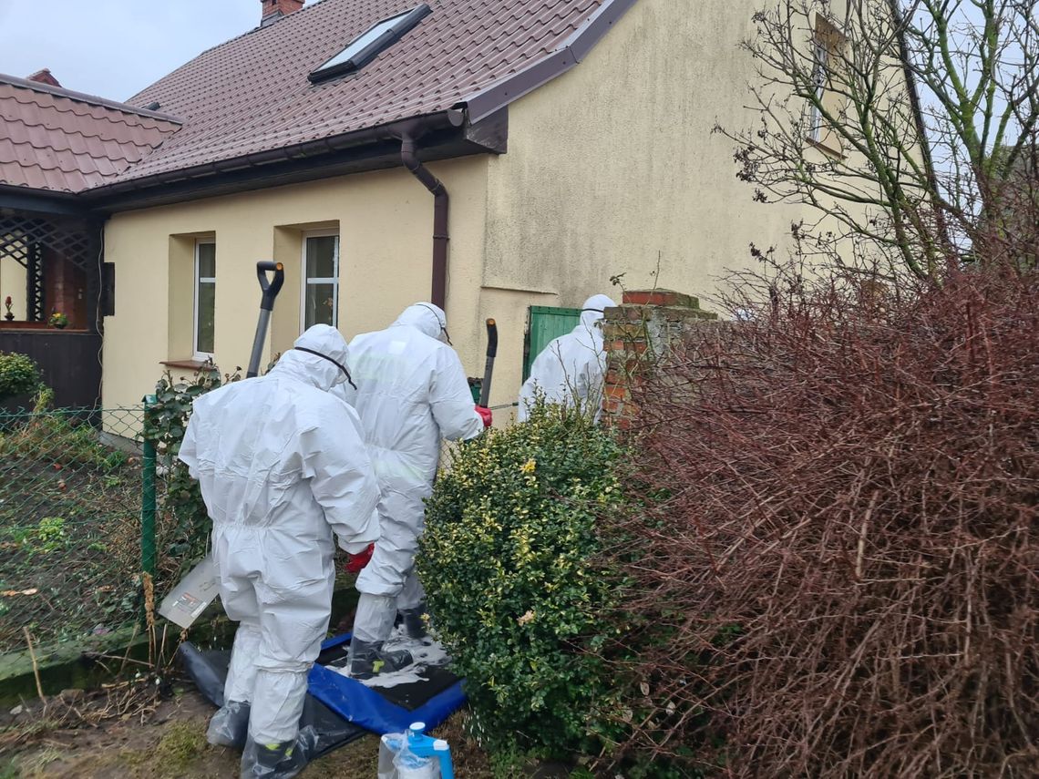 W tych miejscowościach w powiecie są ogniska grypy ptaków i miejsca zagrożone