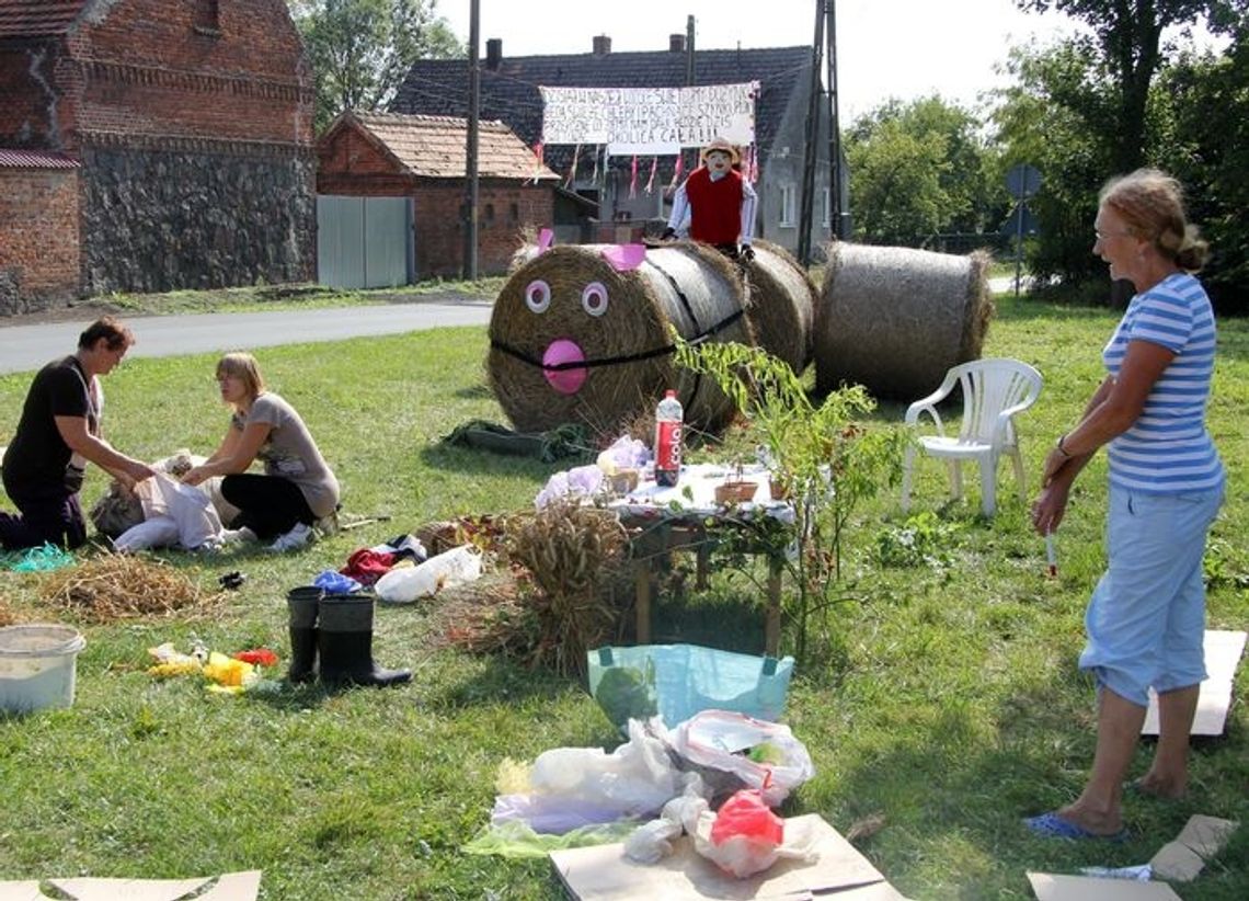 Mieszkowice zapraszają na święto plonów Mieszkowice zapraszają na święto plonów