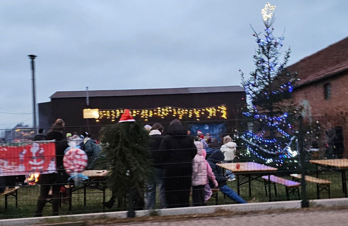 Mikołaj z białym misiem i wypiekami! Wspólne ubieranie gigantycznej choinki Mikołaj z białym misiem i wypiekami! Wspólne ubieranie gigantycznej choinki