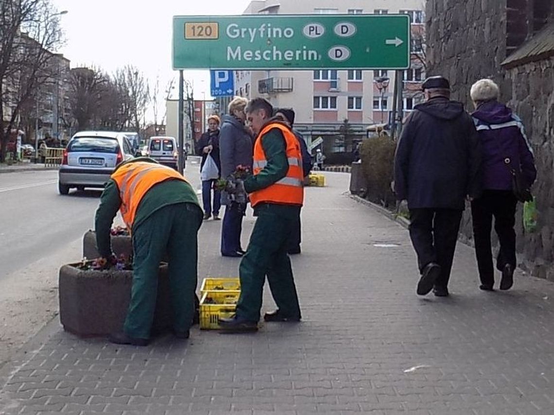 Miler lakonicznie o tym, kto zajmuje się zielenią w gminie Miler lakonicznie o tym, kto zajmuje się zielenią w gminie