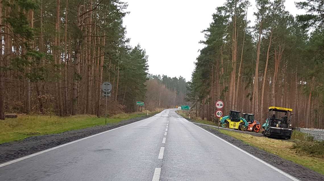 Miliardy z drewna i grosze na przyrodę. Czy nowelizacja ukróci bizantyjskie wydatki leśników?