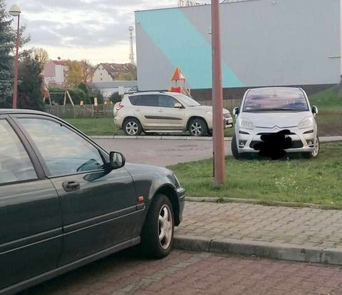 Mistrz parkowania na... trawniku