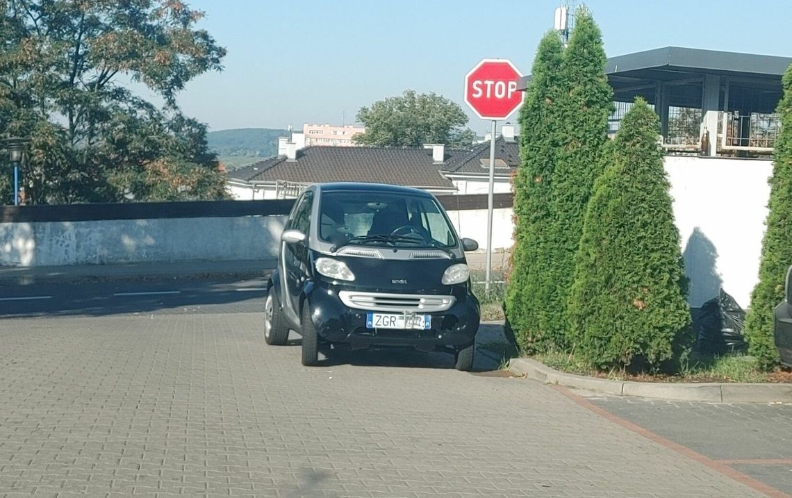Mistrz parkowania przy znaku STOP Mistrz parkowania przy znaku STOP