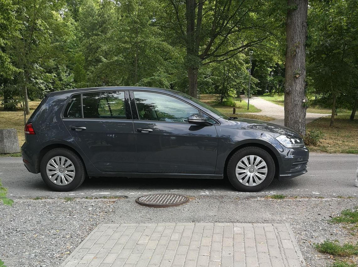 Mistrz parkowania w... parku