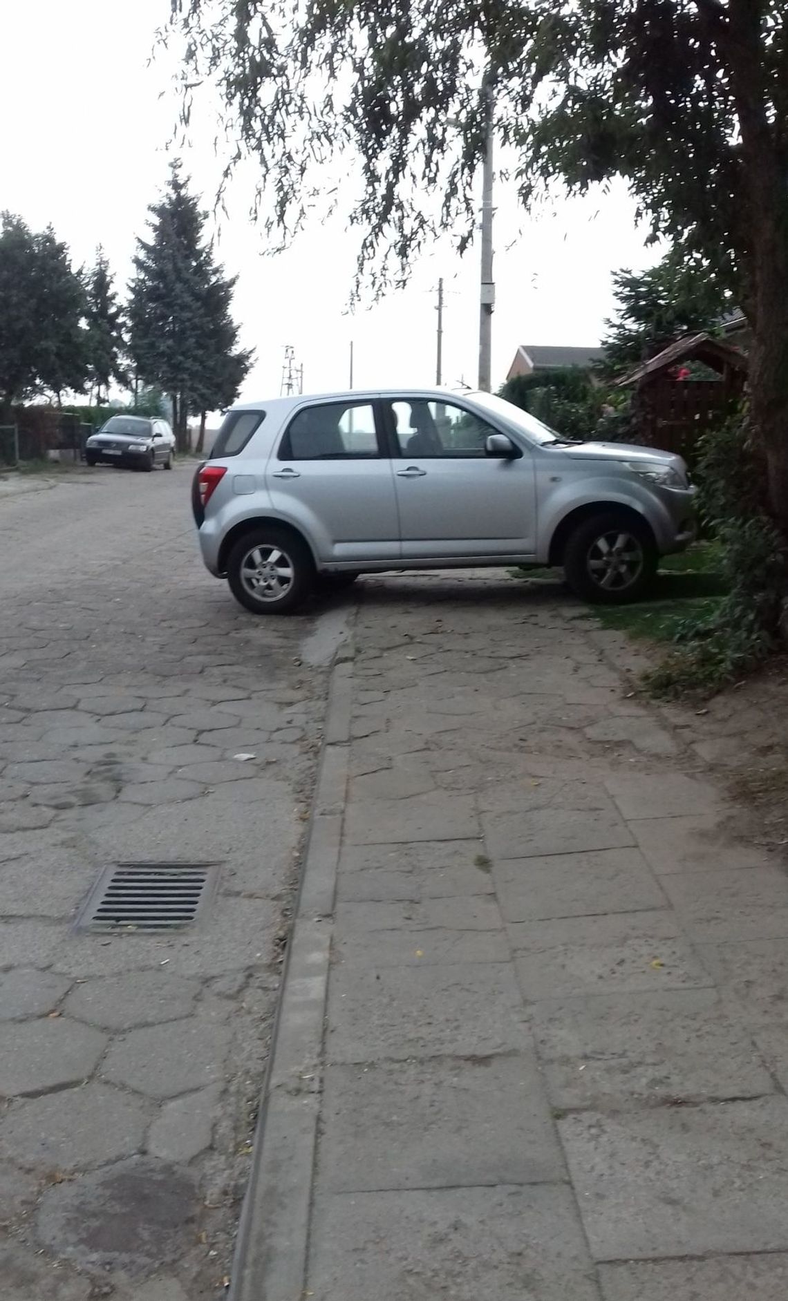 Mistrz parkowania z prawdziwego zdarzenia