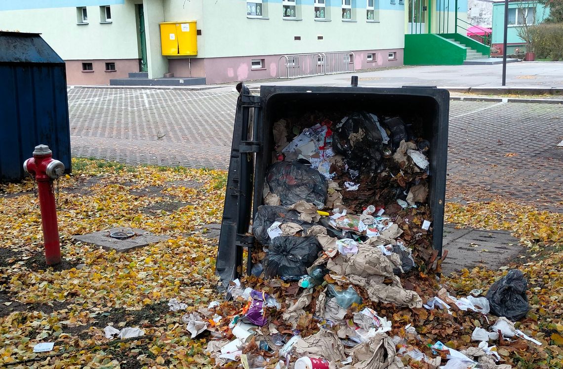 Młodociani wandale dewastowali w Halloween. Dorośli nie reagowali