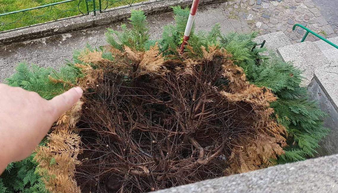 Młodociani wandale zaatakowali szkołę! Czy to nuda, czy głupota? [FOTO]