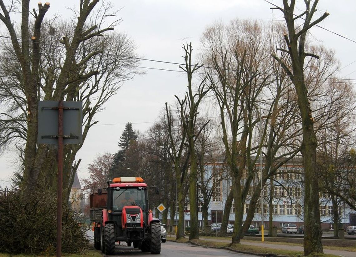 Mocno przycinają drzewa na Dworcowej