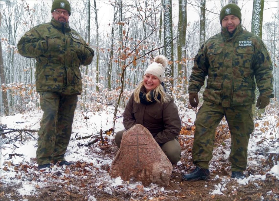 Morowiec w Nadleśnictwie Gryfino Morowiec w Nadleśnictwie Gryfino