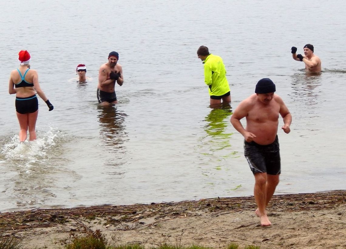 Morsy-mikołaje w jeziorze Morsy-mikołaje w jeziorze