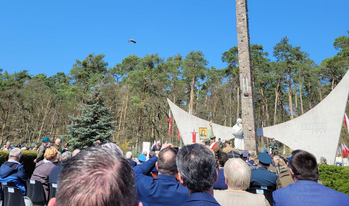 Mówią, że to znak. Niezwykły gość na rocznicowych uroczystościach