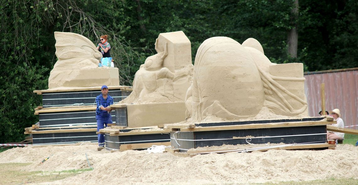  Mucha natchnieniem rzeźby z piasku [FOTO]