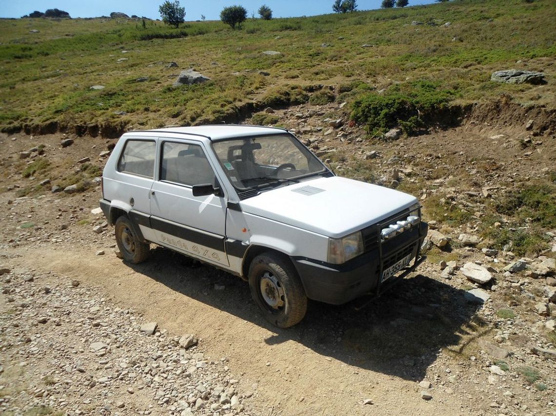 Muchy do towarzystwa, czyli jak wejść na szczyt