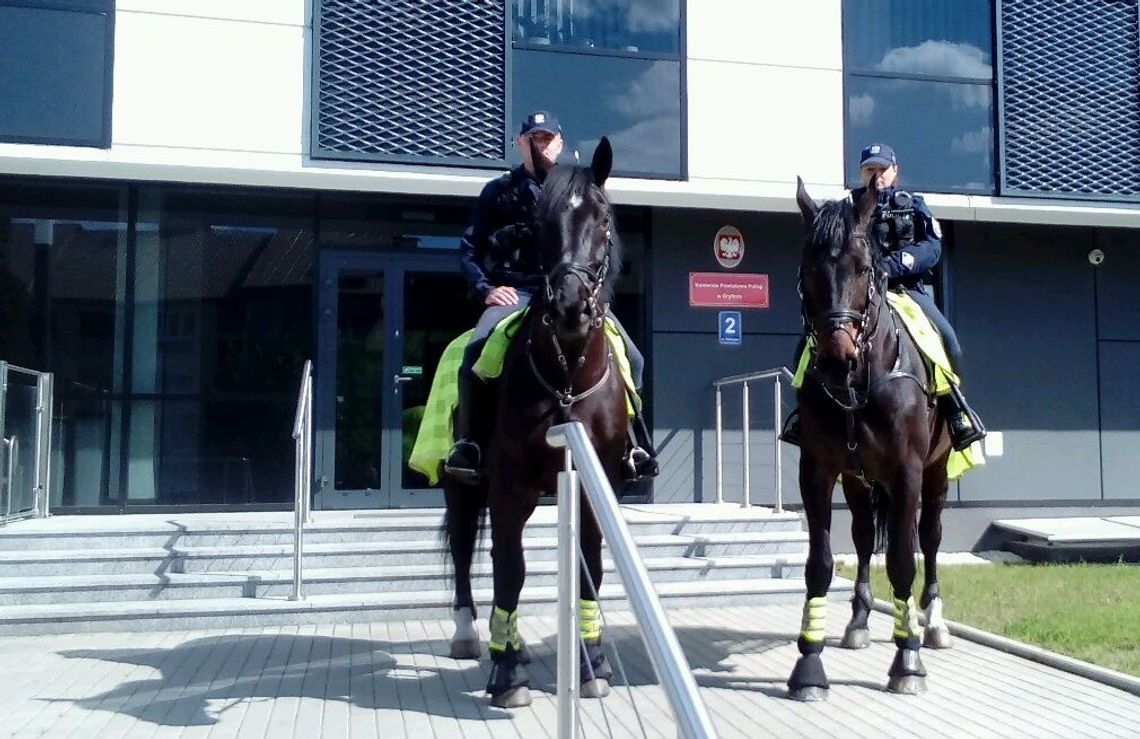Na Dniach Gryfina służbę pełnią także policyjne konie