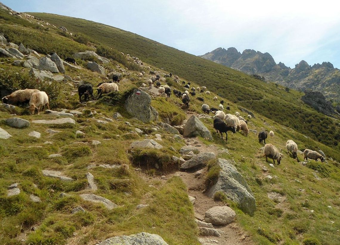 Na finiszu – korsykańska wyprawa Kamila Krasickiego Na finiszu – korsykańska wyprawa Kamila Krasickiego