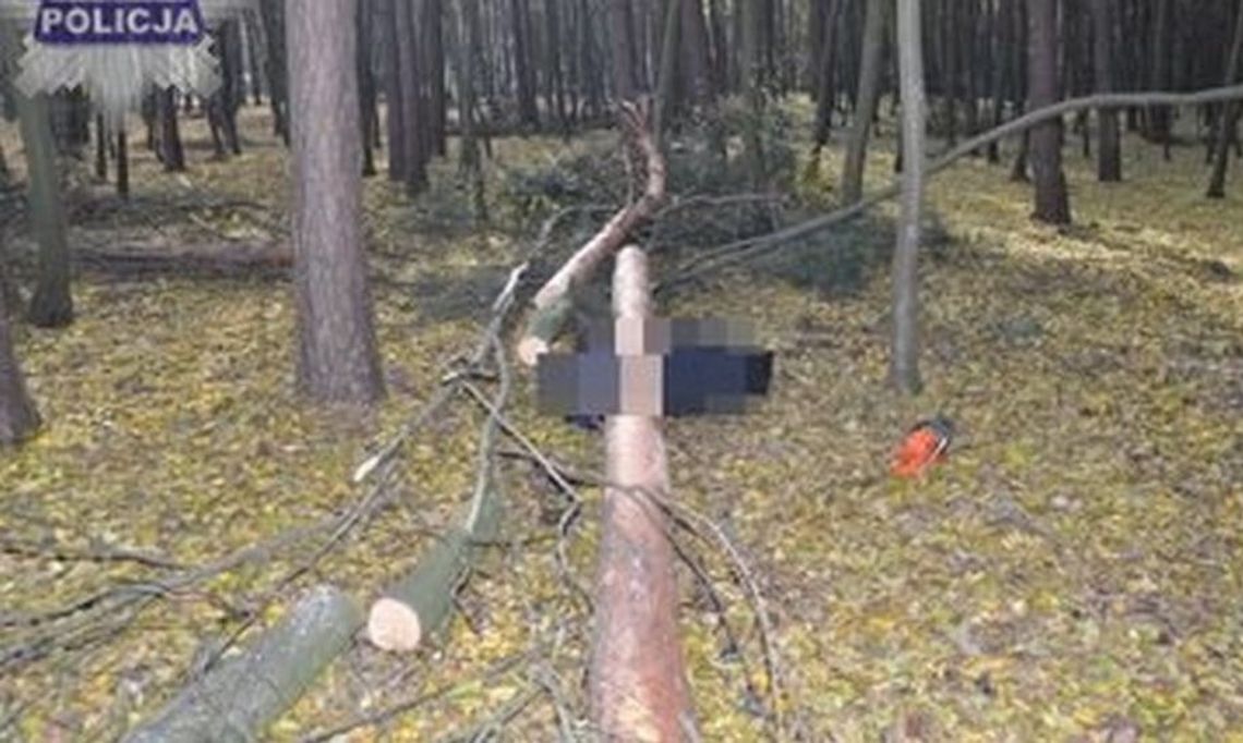 Na miejsce tragedii przyjechali prokurator i inspekcja pracy