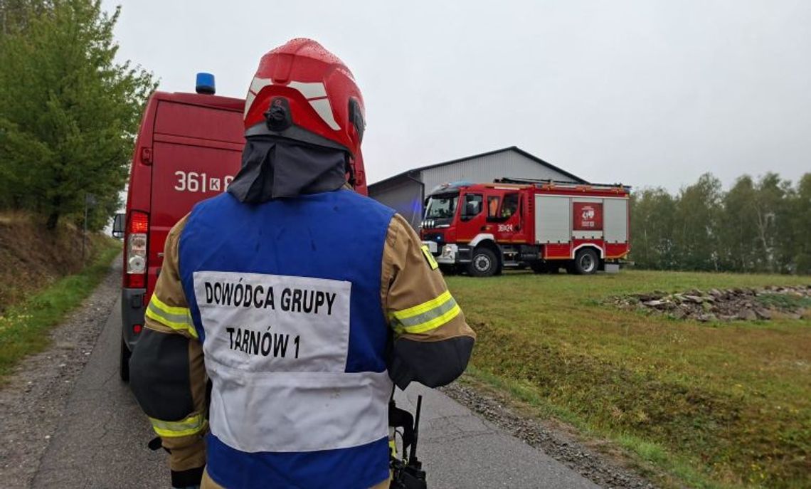 Promieniowanie na prywatnej posesji. Polska Agencja Atomistyki wydała oświadczenie Promieniowanie na prywatnej posesji. Polska Agencja Atomistyki wydała oświadczenie