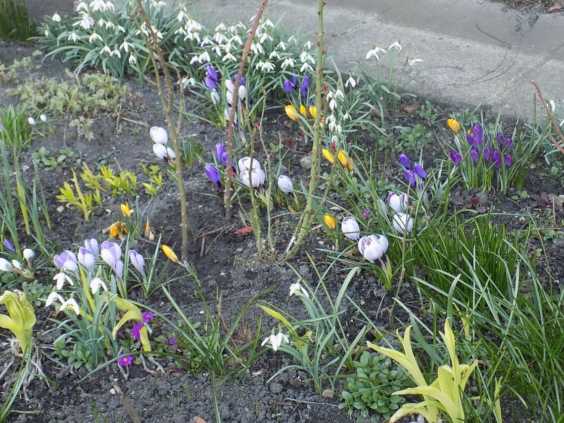 Na ten widok uśmiechnie się nawet ponurak