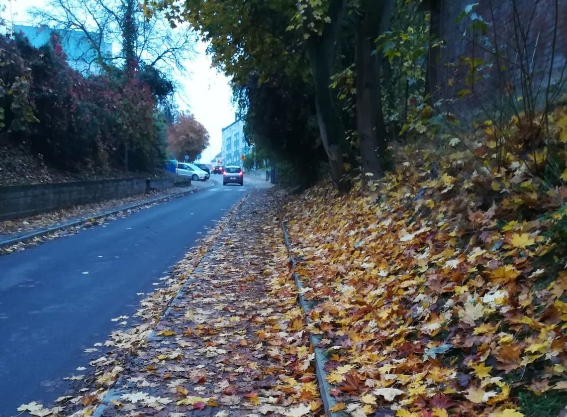 Na tym chodniku pełnym liści jest ślisko i niebezpiecznie