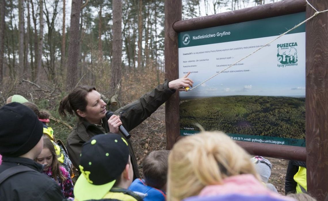 Na wyjątkowy spacer zaprasza Nadleśnictwo Gryfino. Liczba uczestników ograniczona