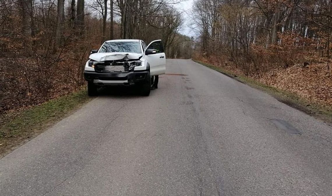 Nagle jeleń pojawił się przed maską samochodu Nagle jeleń pojawił się przed maską samochodu