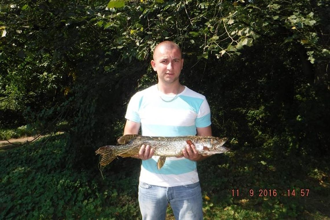 Nagrodą puchar i beczka chmielowego trunku Nagrodą puchar i beczka chmielowego trunku