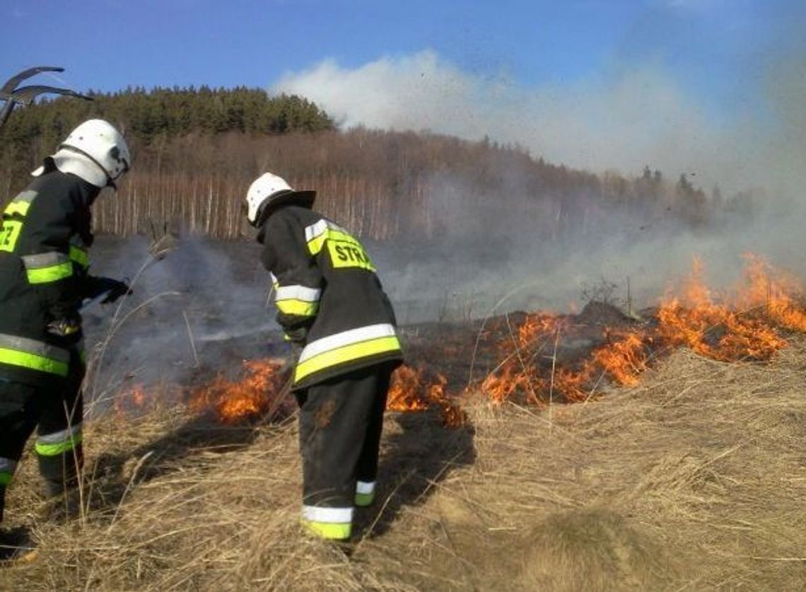 Najczęstsze akcje strażaków