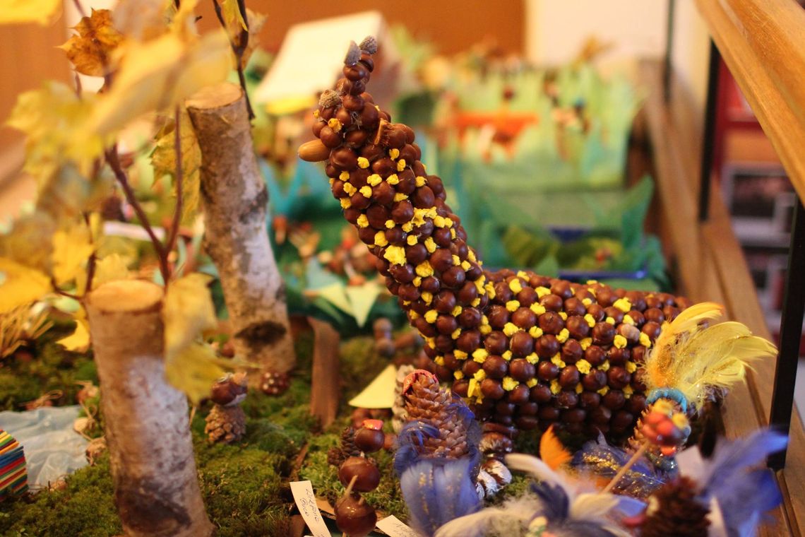 Najładniejsze cudaki-kasztaniaki Najładniejsze cudaki-kasztaniaki