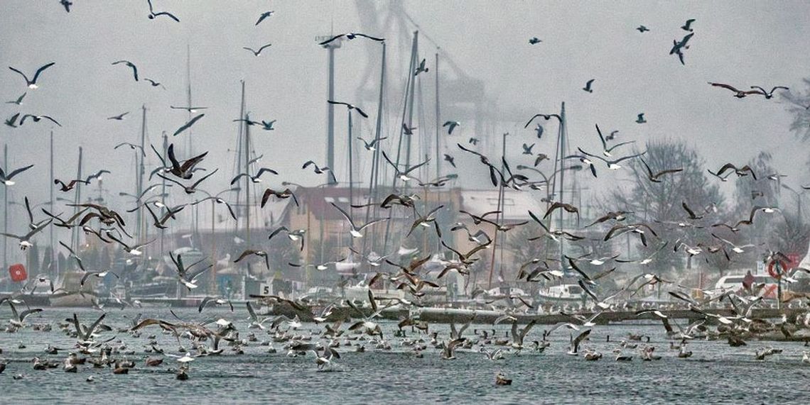 Samobójstwa i próby samobójcze - najnowsze dane. Kluczowe znaczenie w zapobieganiu