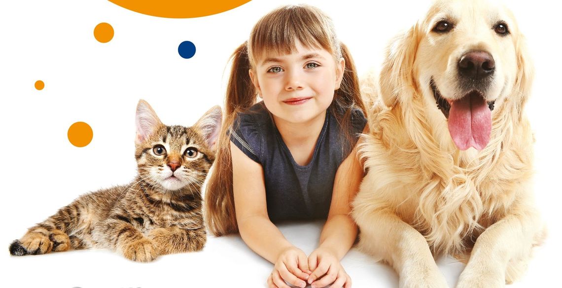 Nakarm bezdomne zwierzaki razem z Intermarché Nakarm bezdomne zwierzaki razem z Intermarché