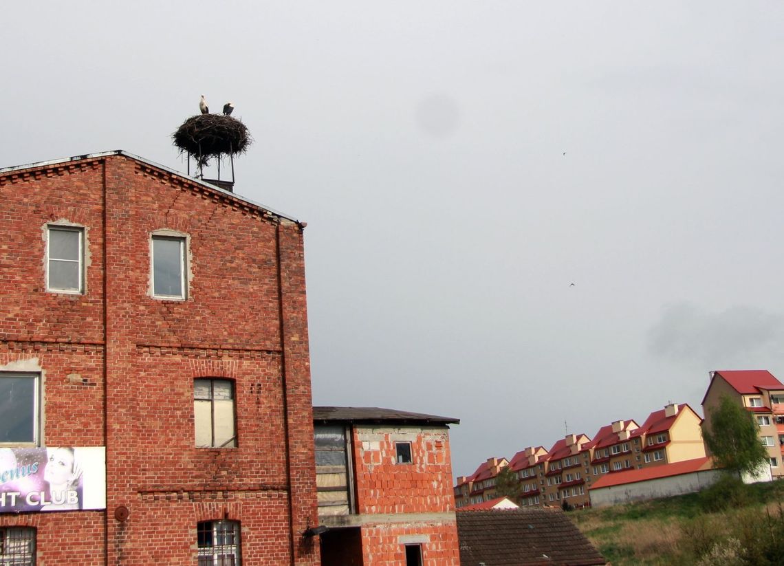 Nalot na night club Nalot na night club