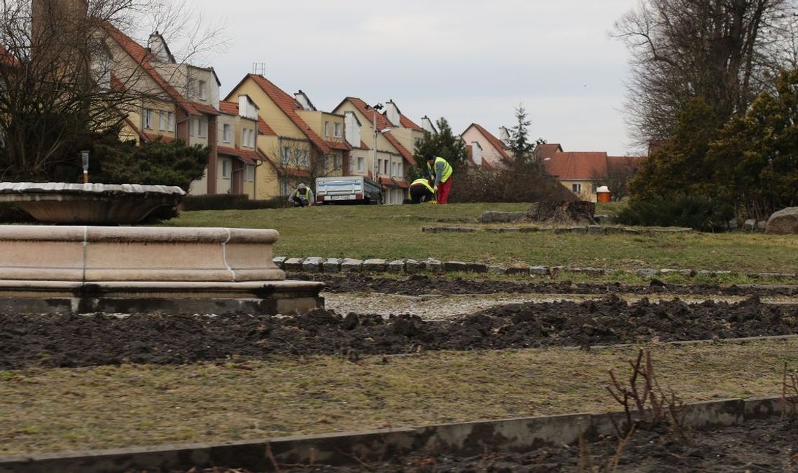 Nasadzili bratków w reprezentacyjnym miejscu