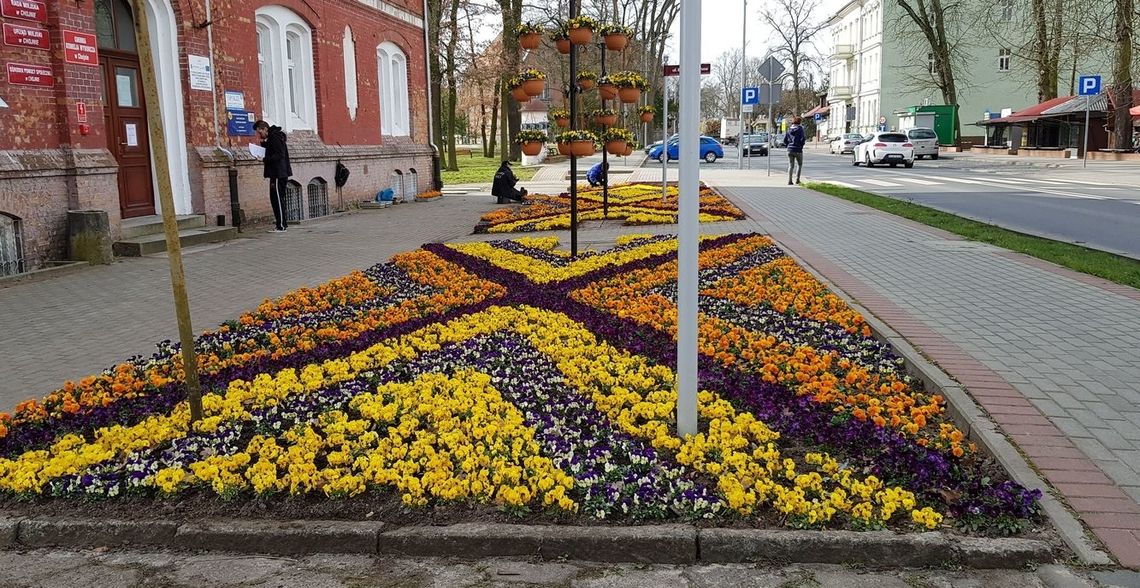 Nie czas podziwiać bratki, kiedy płonie koronawirus Nie czas podziwiać bratki, kiedy płonie koronawirus