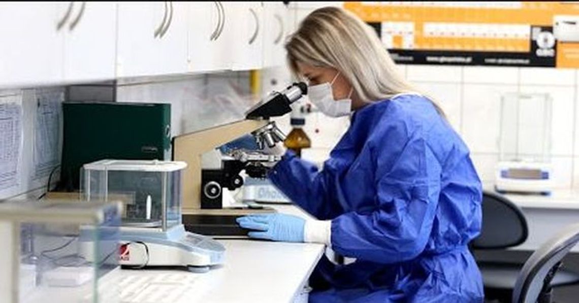 Nie ma związku między falami radiowymi, a powstawaniem nowotworów Nie ma związku między falami radiowymi, a powstawaniem nowotworów