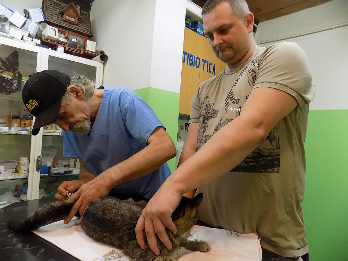 Nie tylko nam dokucza upał Nie tylko nam dokucza upał