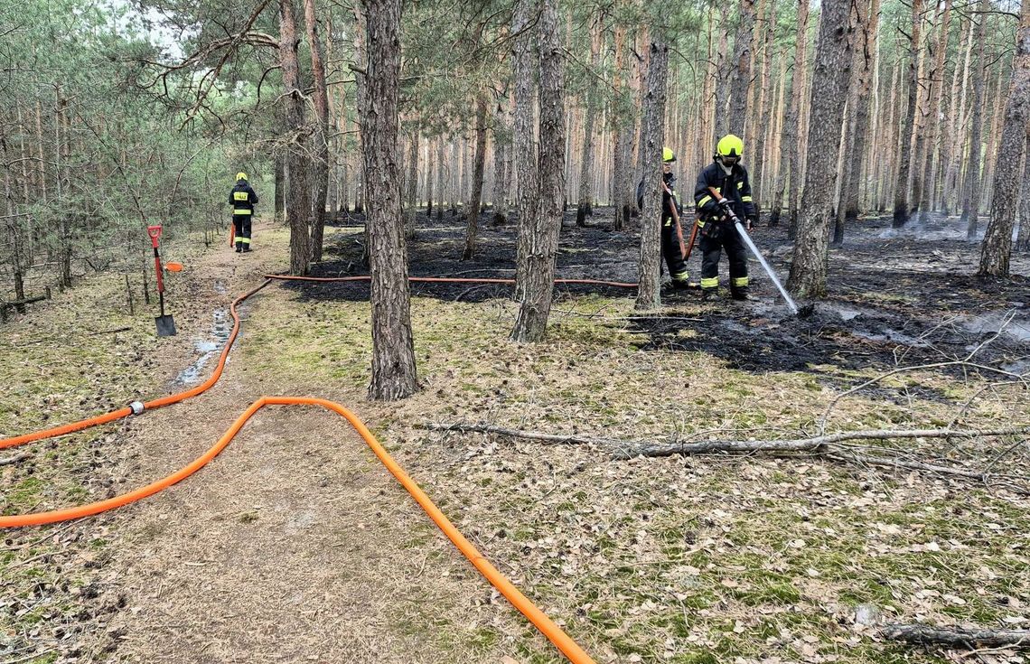 Gaszenie pożaru w lesie