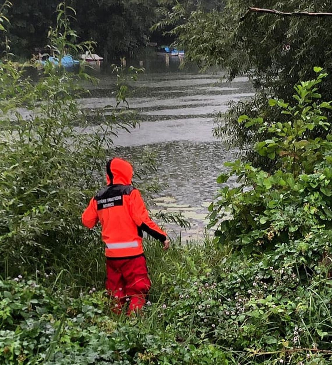 Nie ustają poszukiwania zaginionego pana Sebastiana Nie ustają poszukiwania zaginionego pana Sebastiana
