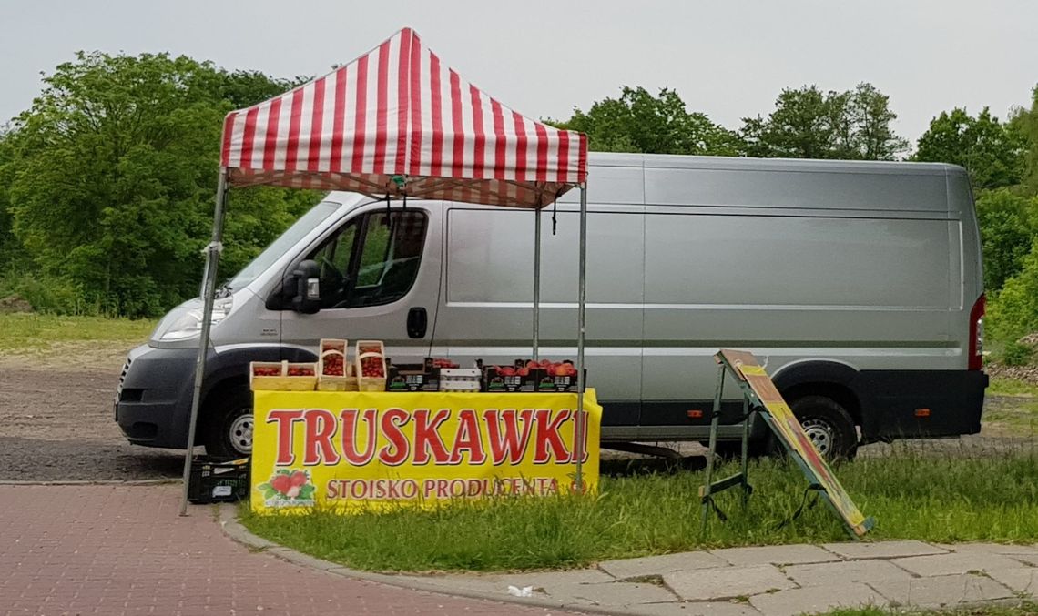 Nie uwierzysz po ile można kupić truskawki w Gryfinie!