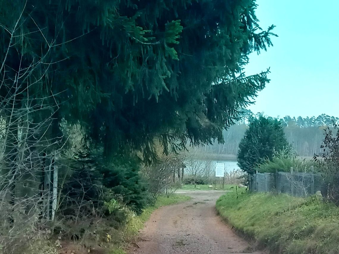 Nie wjeżdżają tam po odbiór śmieci. Czytelnik ujawnia przyczynę Nie wjeżdżają tam po odbiór śmieci. Czytelnik ujawnia przyczynę