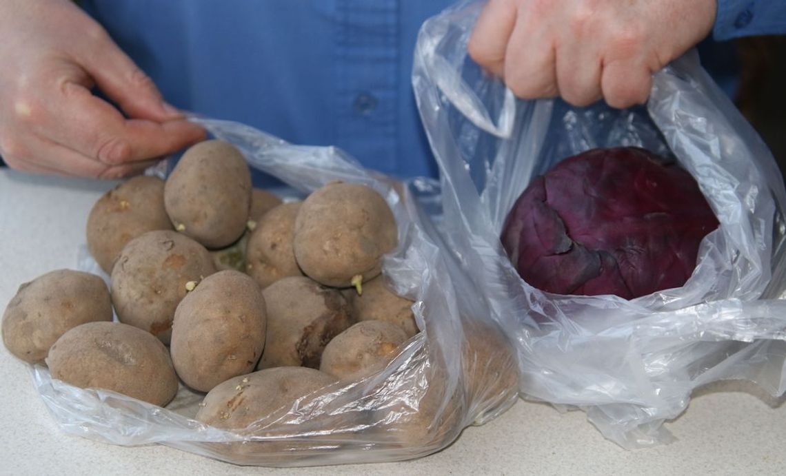 Nie za każdą torbę plastikową płacimy dodatkowo Nie za każdą torbę plastikową płacimy dodatkowo