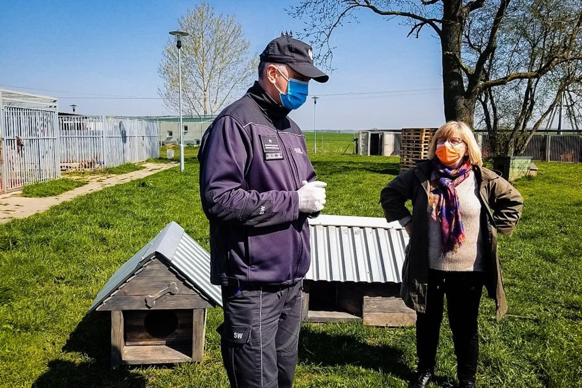 Nie zapominają o bezdomnych zwierzętach