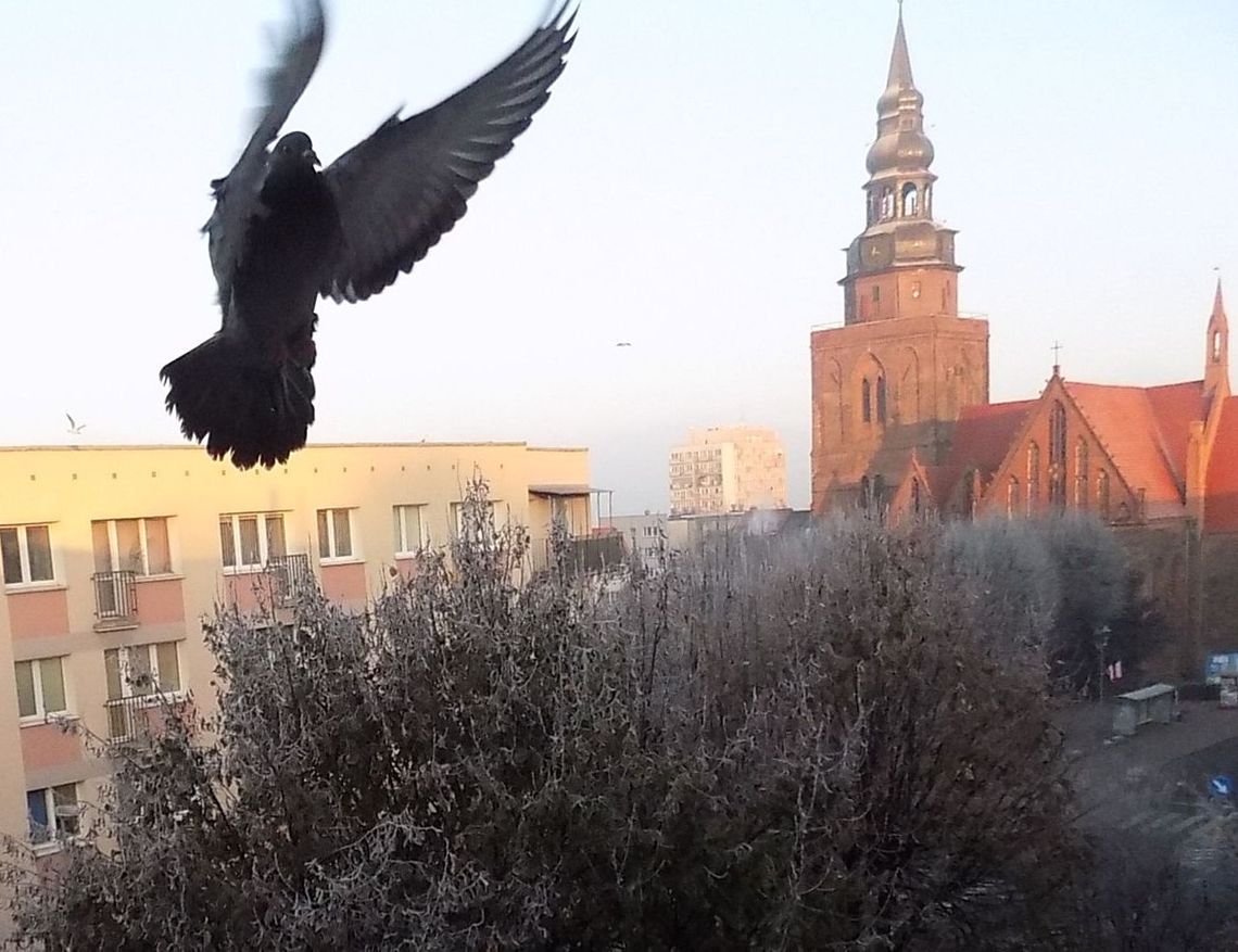 Nie zauważyli i nie podziwiali. Gdzie się podziali? Nie zauważyli i nie podziwiali. Gdzie się podziali?
